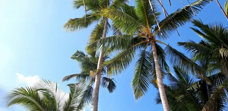 Direct booking site for Villa Kusum in Hikkaduwa, colonial villa facing the Indian Ocean